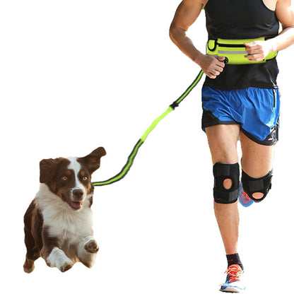 Pet Waist Bag