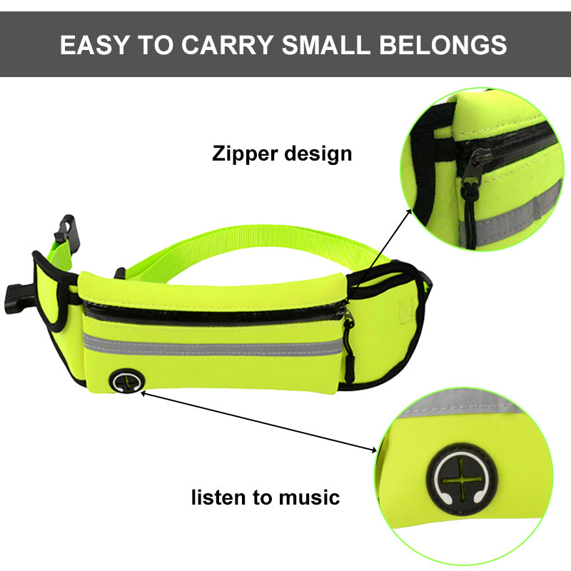Pet Waist Bag
