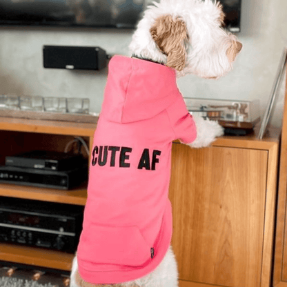 Cotton Dog Hoodie