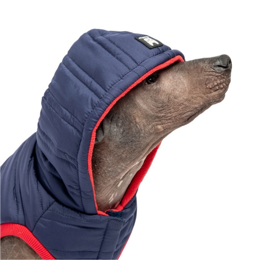 Water-Resistant Dog Coat