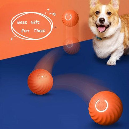 Smart Roll Pet Interactive Ball