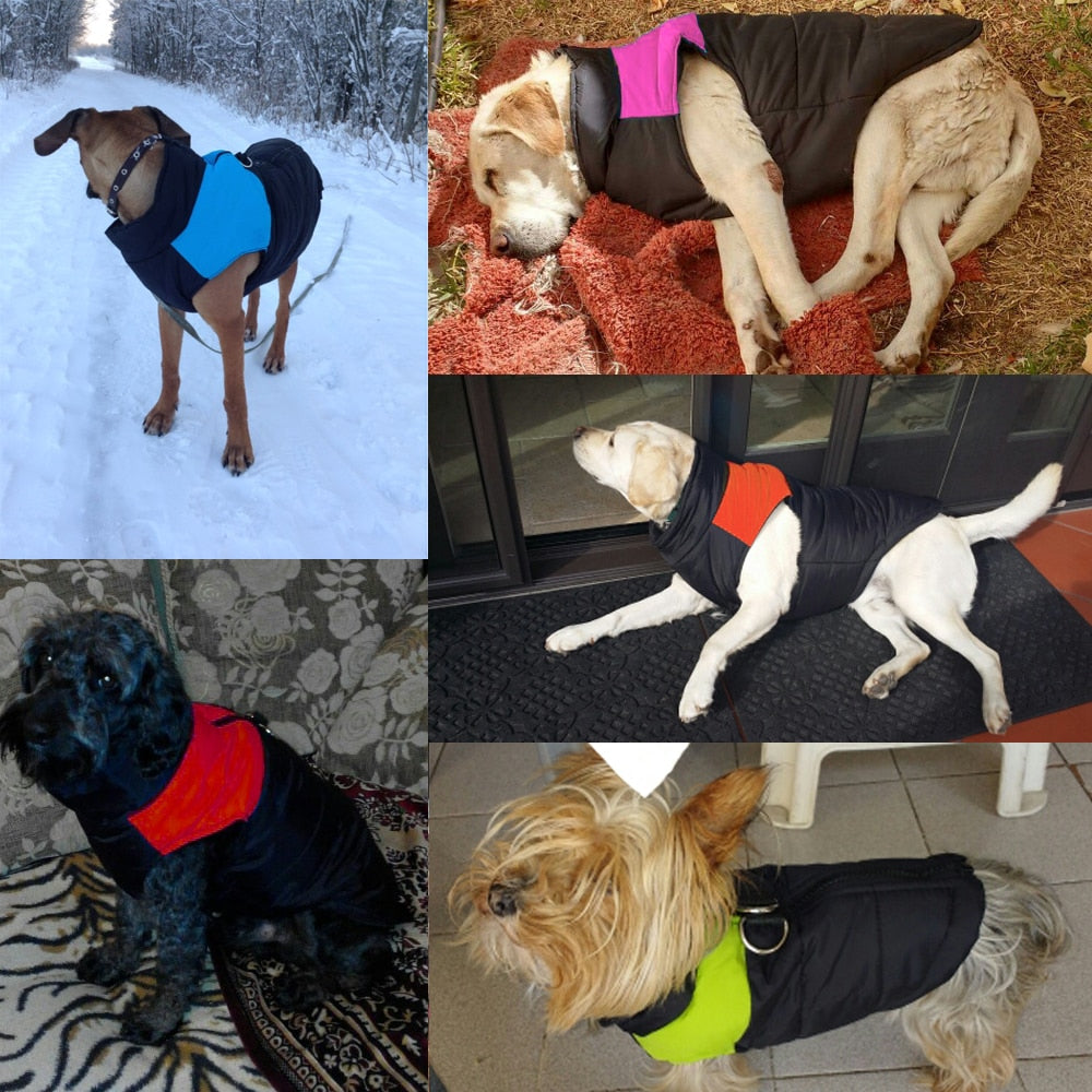 Waterproof Pet Dog Puppy Vest