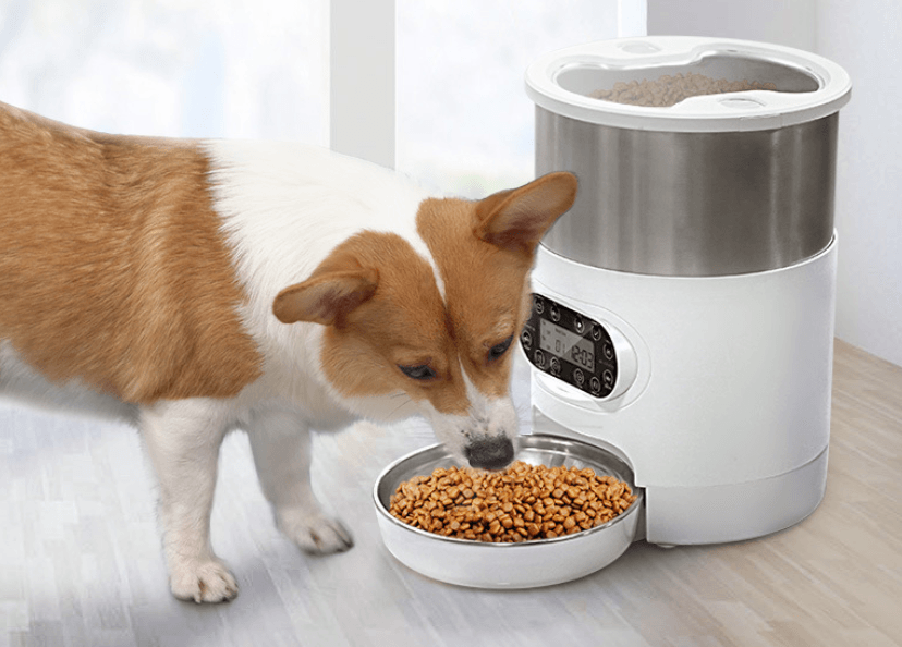 Automatic Pet Feeder