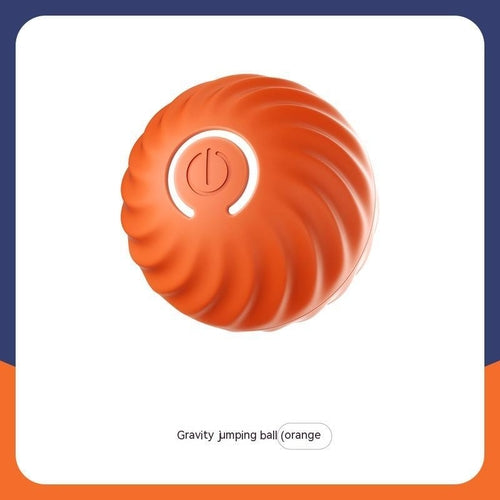 Smart Roll Pet Interactive Ball